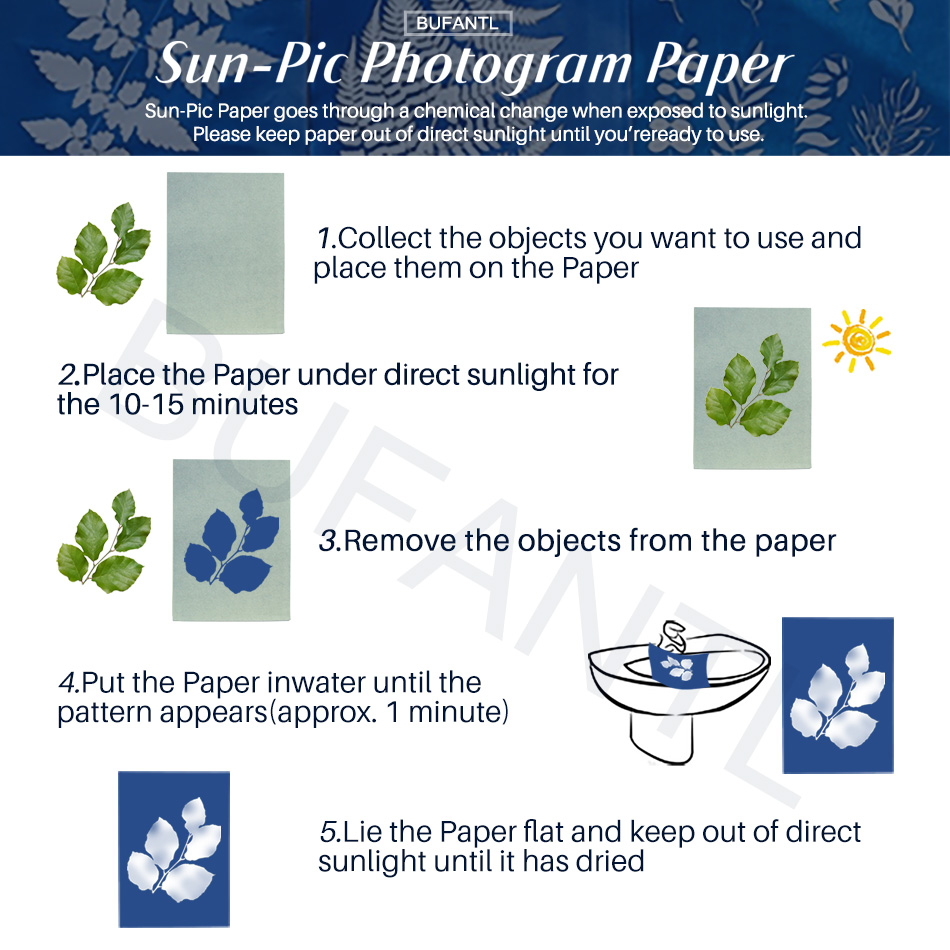 Papel Cianótipo 12 Folhas Paco - Photography Lighting For Beginners avaliação e preço